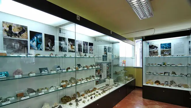 Lovere, Museo Civico Di Scienze Naturali